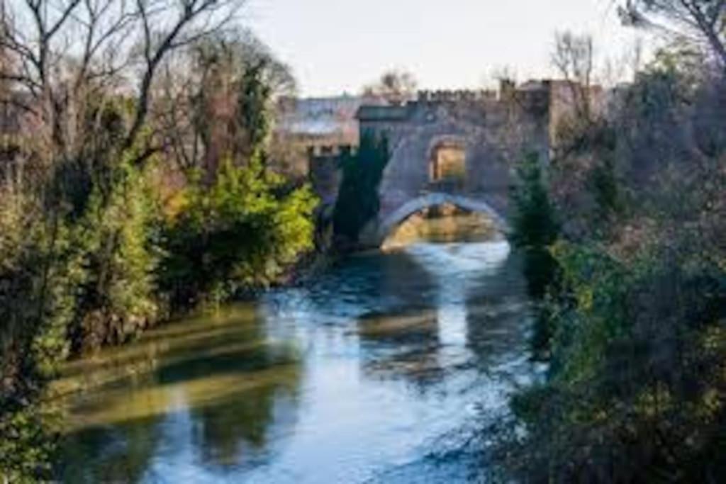 La Palma Degli Artisti Appartement Rome